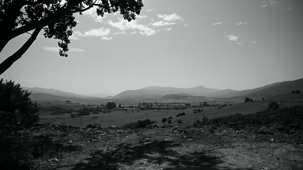 DSC_3136.jpg