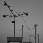 DSCF0556.jpg