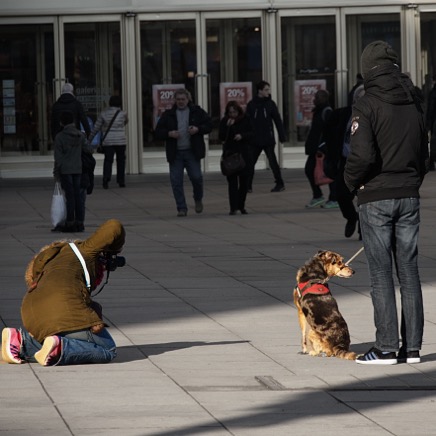 Foto Hund Alexanderplatz_1.jpg