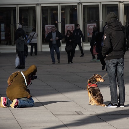 Foto Hund Alexanderplatz_1.jpg
