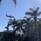IMG_3230.jpeg